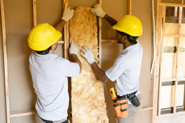 Best Attic Insulation Installation  in Frisco, TX